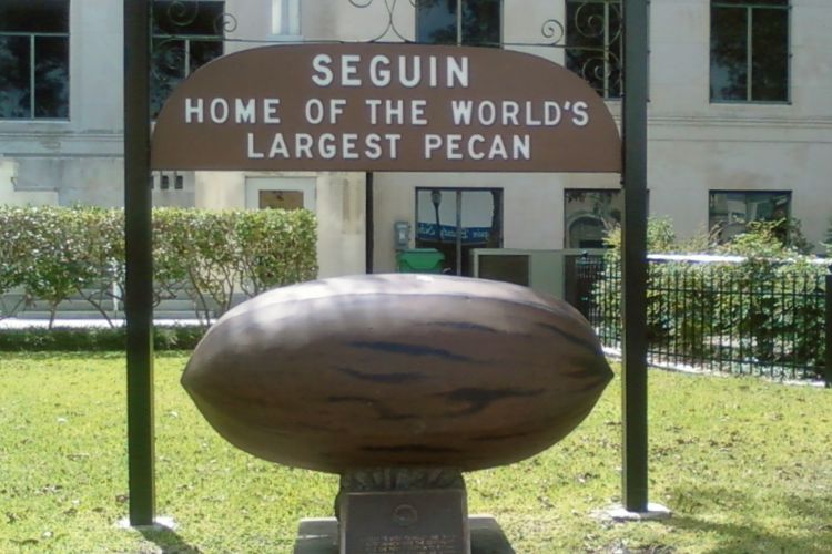 Things to Do in Seguin | World's Largest Pecan Statue!